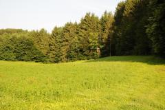 borstek-pri-Ticku