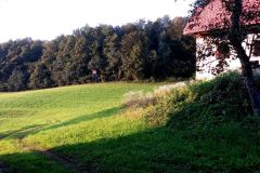 kravjak_sp